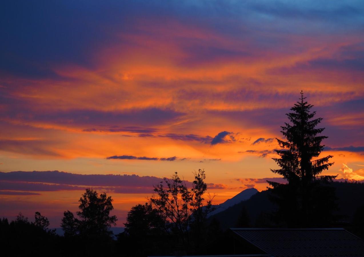 Chalet Arpitan - Les Carroz - Grand Massif Dış mekan fotoğraf