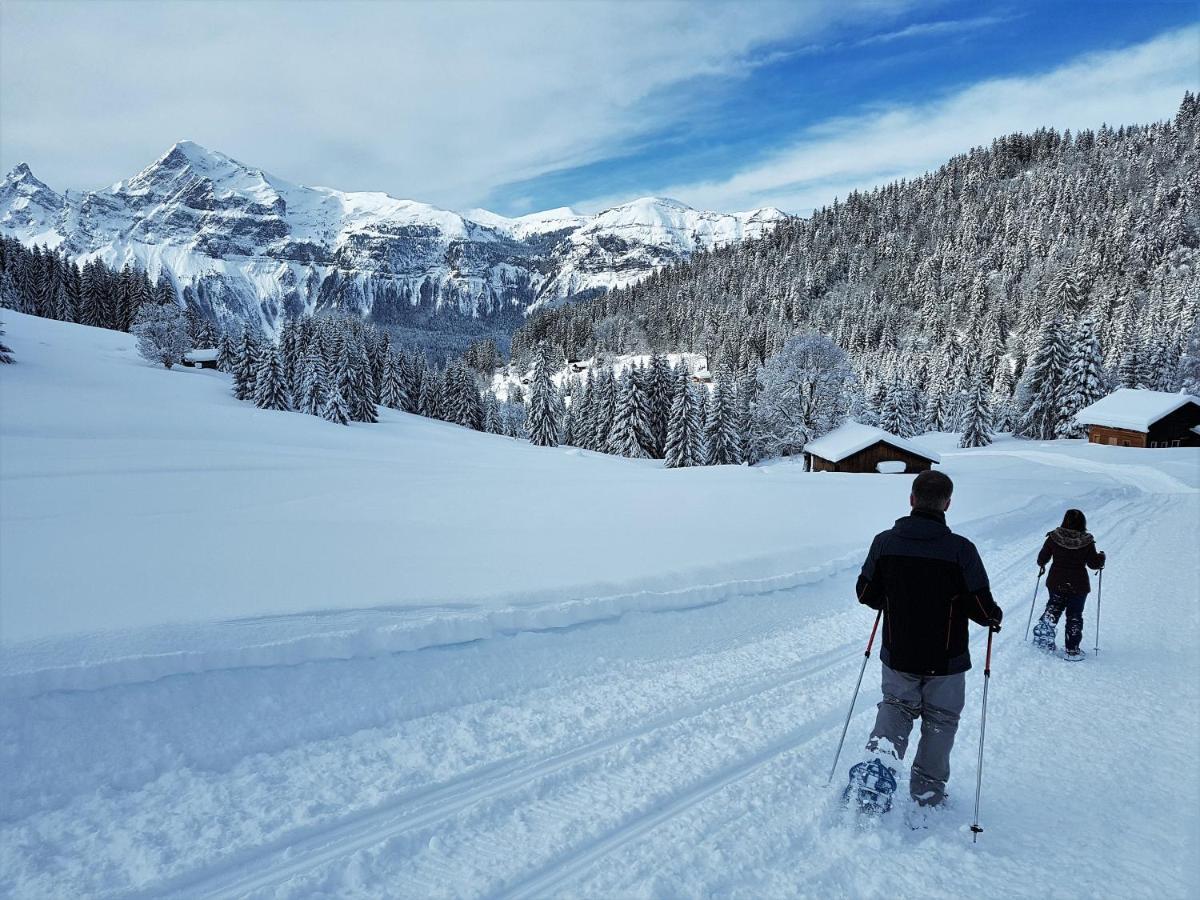 Chalet Arpitan - Les Carroz - Grand Massif Dış mekan fotoğraf