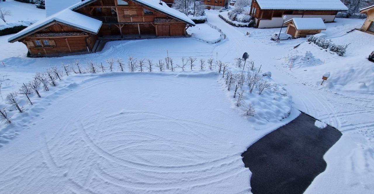 Chalet Arpitan - Les Carroz - Grand Massif Dış mekan fotoğraf