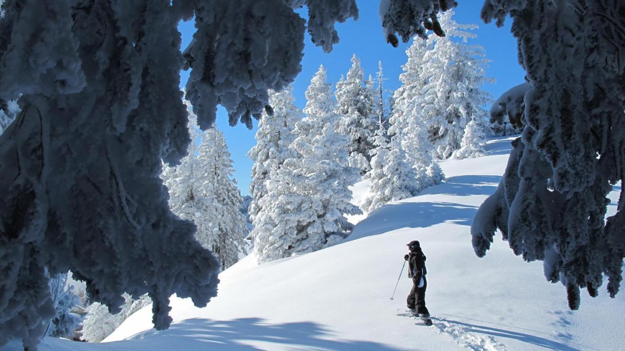 Chalet Arpitan - Les Carroz - Grand Massif Dış mekan fotoğraf