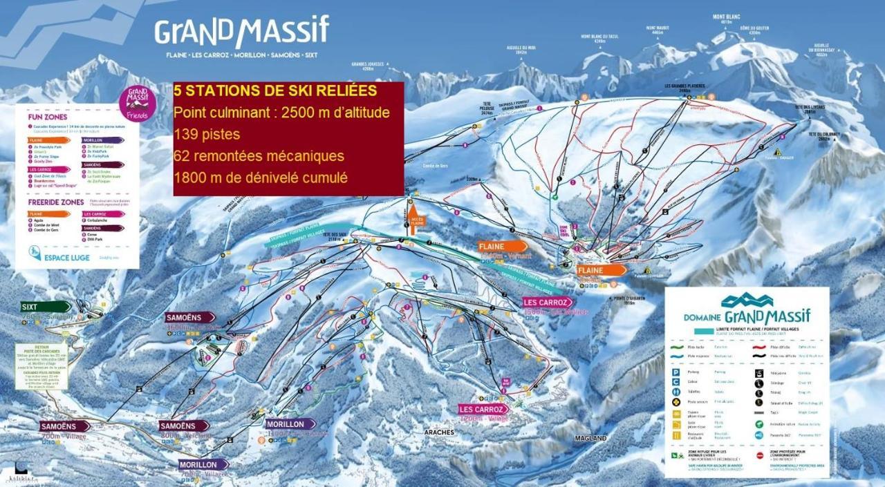 Chalet Arpitan - Les Carroz - Grand Massif Dış mekan fotoğraf