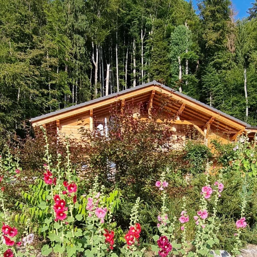 Chalet Arpitan - Les Carroz - Grand Massif Dış mekan fotoğraf